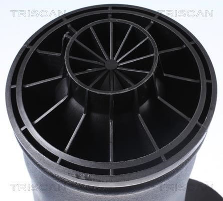 Купить Triscan 8720 23204 по низкой цене в Украине!