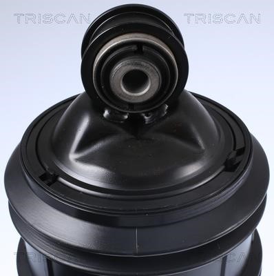 Купити Triscan 8720 23205 за низькою ціною в Україні!