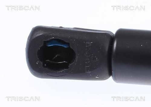 Амортизатор капота Triscan 8710 29151