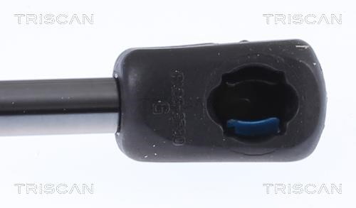 Купити Triscan 8710 29151 за низькою ціною в Україні!