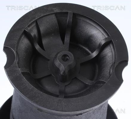 Пневмоподушка Triscan 8720 38201