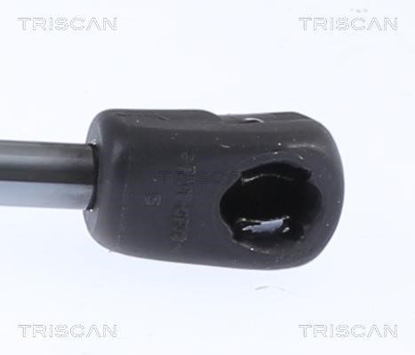 Купити Triscan 8710 29153 за низькою ціною в Україні!