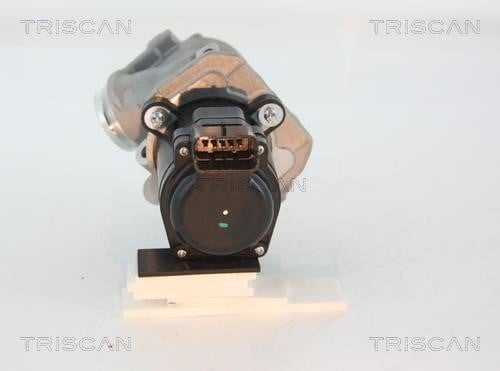 Клапан рециркуляции отработанных газов EGR Triscan 8813 28003