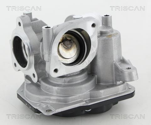 Triscan 8813 10031 Клапан рециркуляції відпрацьованих газів EGR 881310031: Купити в Україні - Добра ціна на EXIST.UA!