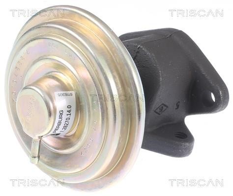 Triscan 8813 10033 Клапан рециркуляції відпрацьованих газів EGR 881310033: Купити в Україні - Добра ціна на EXIST.UA!
