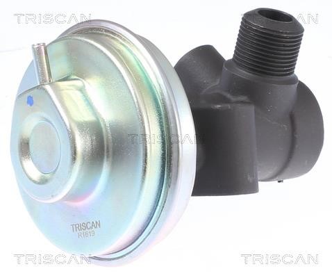 Triscan 8813 14008 Клапан рециркуляції відпрацьованих газів EGR 881314008: Купити в Україні - Добра ціна на EXIST.UA!