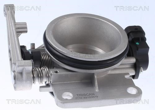 Заслінка дросельна Triscan 8820 25005