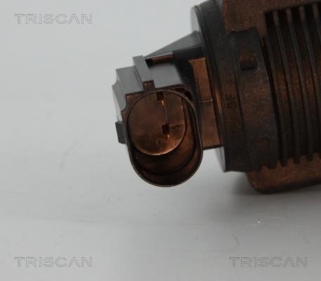 Клапан рециркуляції відпрацьованих газів EGR Triscan 8813 15032