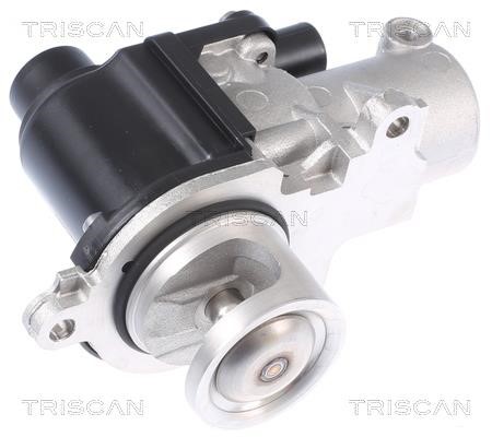 Triscan 8813 29338 Клапан рециркуляції відпрацьованих газів EGR 881329338: Купити в Україні - Добра ціна на EXIST.UA!