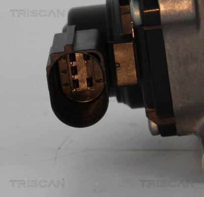 Клапан рециркуляції відпрацьованих газів EGR Triscan 8813 29311