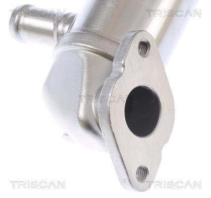 Радиатор охлаждения отработанных газов Triscan 8813 29343