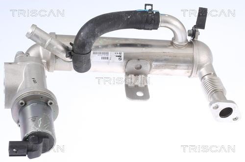 Triscan 8813 43041 Клапан рециркуляції відпрацьованих газів EGR 881343041: Приваблива ціна - Купити в Україні на EXIST.UA!
