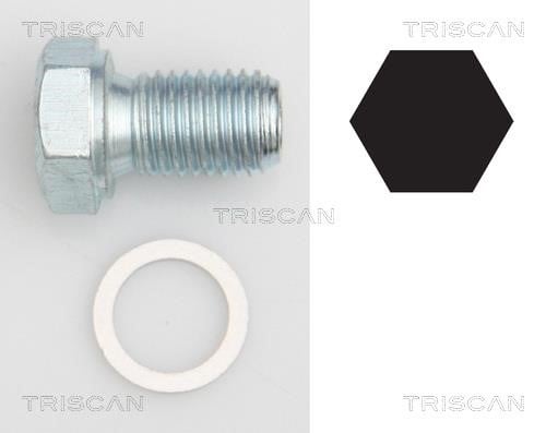Triscan 9500 1101 Пробка піддону 95001101: Купити в Україні - Добра ціна на EXIST.UA!