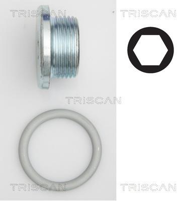 Triscan 9500 2904 Пробка піддону 95002904: Купити в Україні - Добра ціна на EXIST.UA!