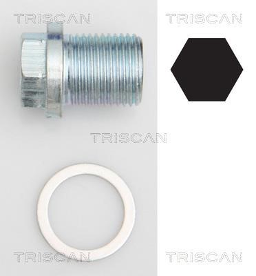 Triscan 9500 1002 Пробка піддону 95001002: Купити в Україні - Добра ціна на EXIST.UA!