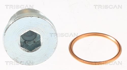 Купити Triscan 9500 1007 за низькою ціною в Україні!
