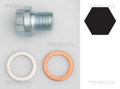 Triscan 9500 1011 Пробка піддону 95001011: Приваблива ціна - Купити в Україні на EXIST.UA!