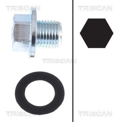Triscan 9500 1013 Пробка піддону 95001013: Купити в Україні - Добра ціна на EXIST.UA!