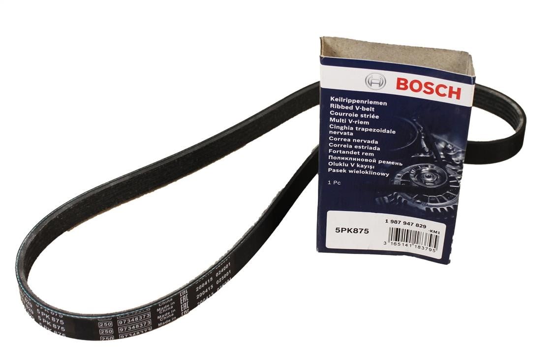 Bosch 1987947829 Cinghie 