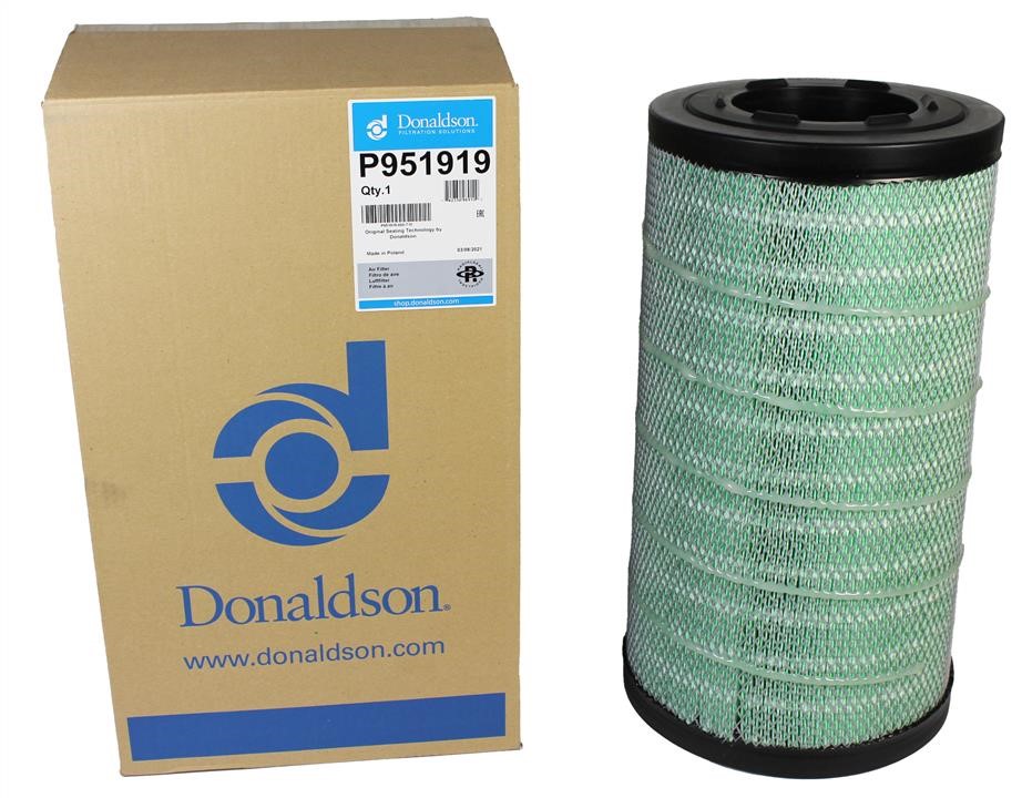 Купити Donaldson P951919 за низькою ціною в Україні!