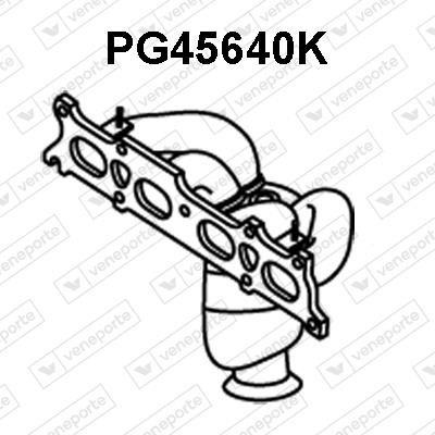 Veneporte PG45640K Каталізатор PG45640K: Купити в Україні - Добра ціна на EXIST.UA!