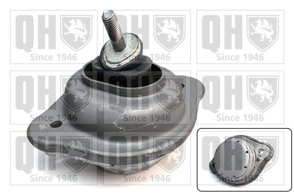 Quinton Hazell EM4655 Подушка двигуна EM4655: Купити в Україні - Добра ціна на EXIST.UA!