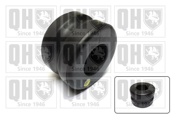Quinton Hazell EMB7431 Опора, стабілізатор EMB7431: Купити в Україні - Добра ціна на EXIST.UA!