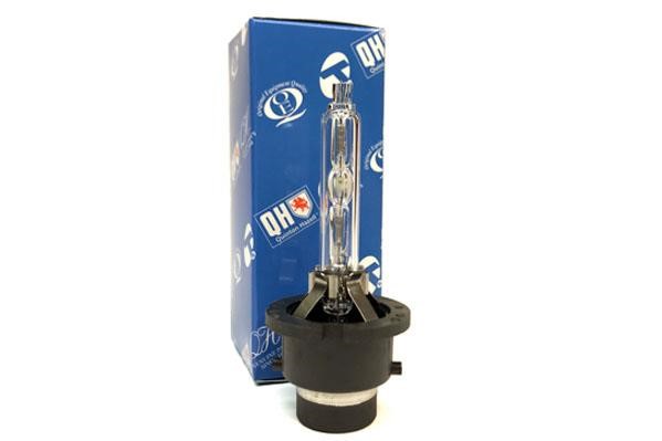 Quinton Hazell QBL502G Лампа розжарювання, основна фара QBL502G: Купити в Україні - Добра ціна на EXIST.UA!
