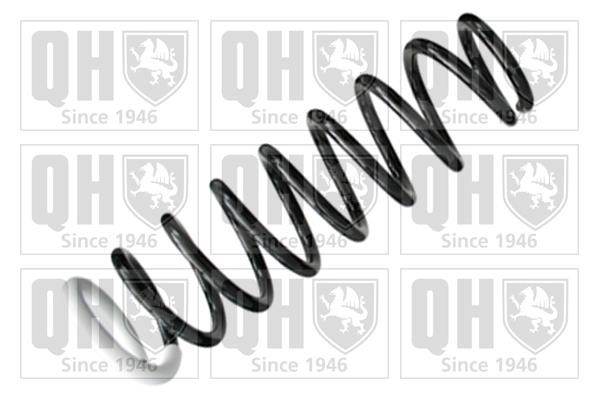 Quinton Hazell QCS6053 Пружина підвіски задня QCS6053: Купити в Україні - Добра ціна на EXIST.UA!