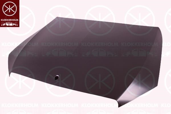 Klokkerholm 3510280 Капот 3510280: Купити в Україні - Добра ціна на EXIST.UA!