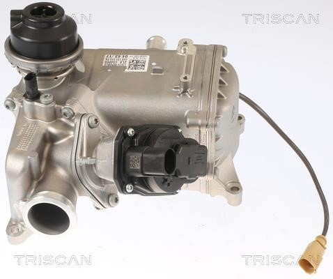 Triscan 8813 29012 Клапан рециркуляції відпрацьованих газів EGR 881329012: Купити в Україні - Добра ціна на EXIST.UA!