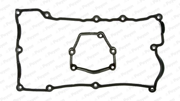 Payen HM5160 Прокладка клапанної кришки (комплект) HM5160: Купити в Україні - Добра ціна на EXIST.UA!