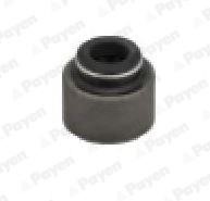 PA6116 Payen Сальник клапана