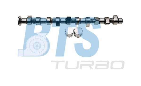 BTS Turbo CP61919 Вал розподільчий, комплект CP61919: Купити в Україні - Добра ціна на EXIST.UA!