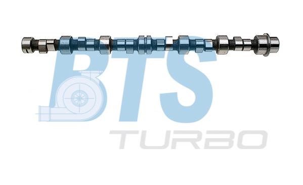 BTS Turbo CP10613 Вал розподільчий CP10613: Купити в Україні - Добра ціна на EXIST.UA!