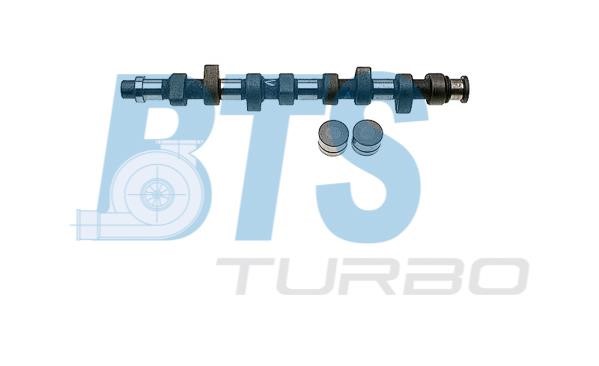 BTS Turbo CP60219 Вал розподільчий, комплект CP60219: Купити в Україні - Добра ціна на EXIST.UA!