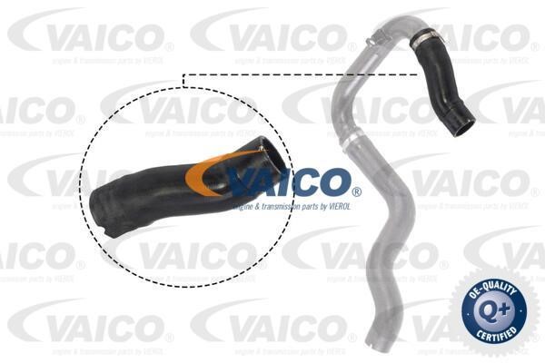Vaico V240732 Патрубок турбокомпресора V240732: Купити в Україні - Добра ціна на EXIST.UA!