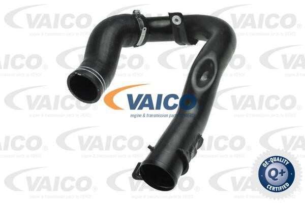 Vaico V240709 Патрубок турбокомпресора V240709: Купити в Україні - Добра ціна на EXIST.UA!