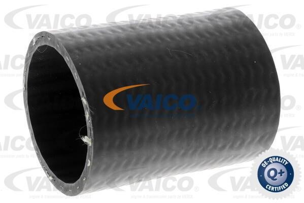 Vaico V420604 Патрубок турбокомпресора V420604: Купити в Україні - Добра ціна на EXIST.UA!