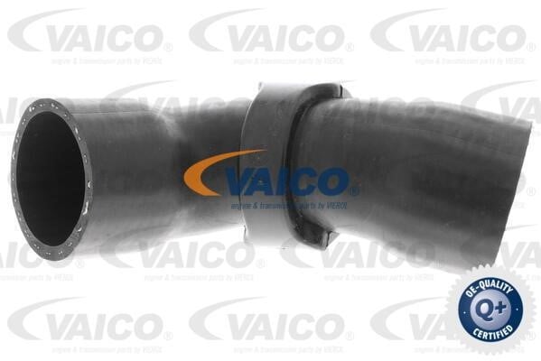 Vaico V420613 Патрубок турбокомпресора V420613: Купити в Україні - Добра ціна на EXIST.UA!