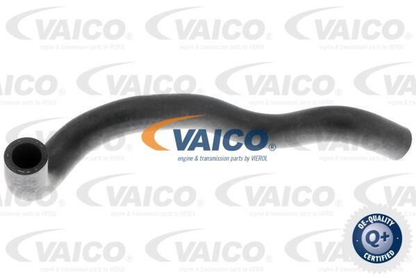 Vaico V104653 Шланг радіатора V104653: Купити в Україні - Добра ціна на EXIST.UA!