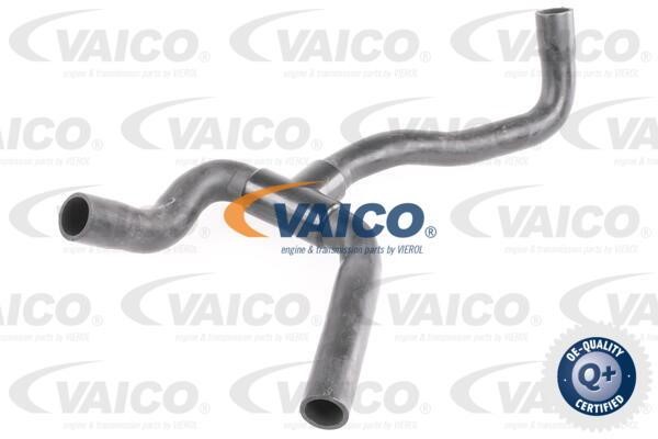 Vaico V251242 Шланг, продування картера V251242: Купити в Україні - Добра ціна на EXIST.UA!