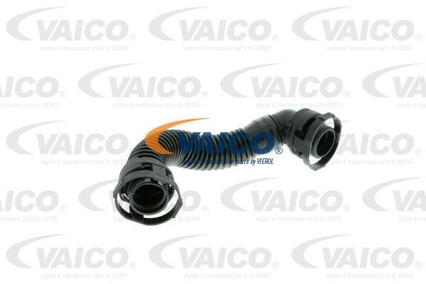 Vaico V104633 Шланг, продування кришки голівки циліндра V104633: Купити в Україні - Добра ціна на EXIST.UA!