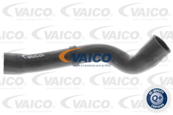 Vaico V104667 Шланг радіатора V104667: Купити в Україні - Добра ціна на EXIST.UA!
