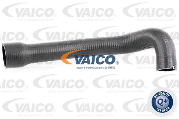 Vaico V240719 Патрубок турбокомпресора V240719: Купити в Україні - Добра ціна на EXIST.UA!