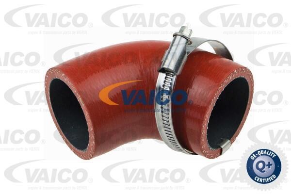 Vaico V480184 Патрубок турбокомпресора V480184: Купити в Україні - Добра ціна на EXIST.UA!