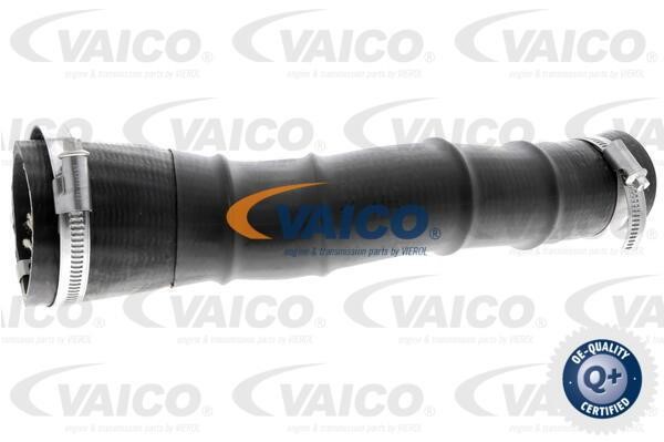 Vaico V251034 Патрубок турбокомпресора V251034: Купити в Україні - Добра ціна на EXIST.UA!