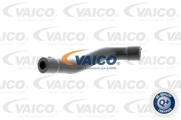 Vaico V3009021 Патрубок вентиляції картерних газів V3009021: Купити в Україні - Добра ціна на EXIST.UA!