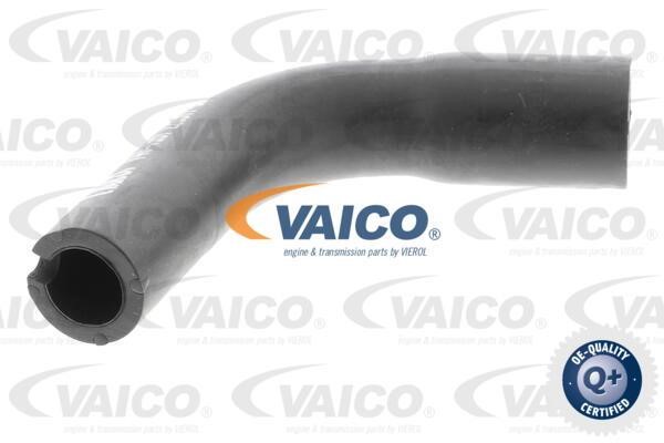 Vaico V401991 Шланг, продування картера V401991: Купити в Україні - Добра ціна на EXIST.UA!
