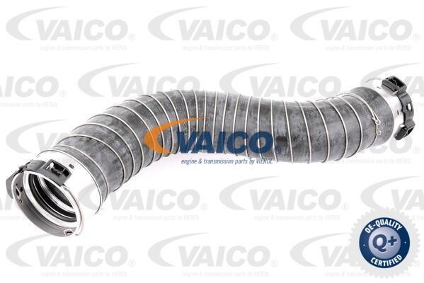 Vaico V202966 Патрубок турбокомпресора V202966: Купити в Україні - Добра ціна на EXIST.UA!